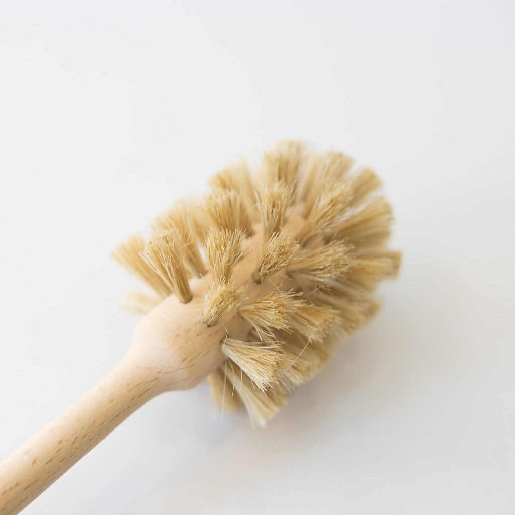 Cup brush made with natural bristles and beechwood. Detail of bristles.
