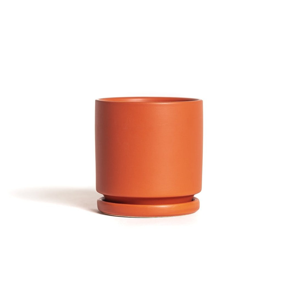 4.5" Porcelain Plant Pot and Tray in Rust color.