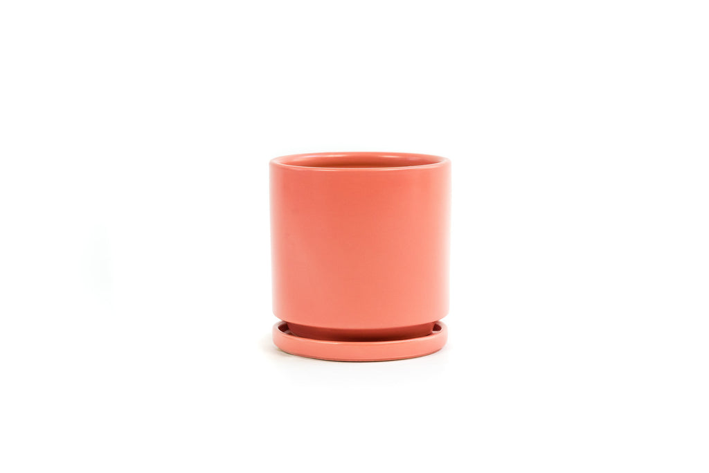8.5" Porcelain Plant Pot and Tray in Coral