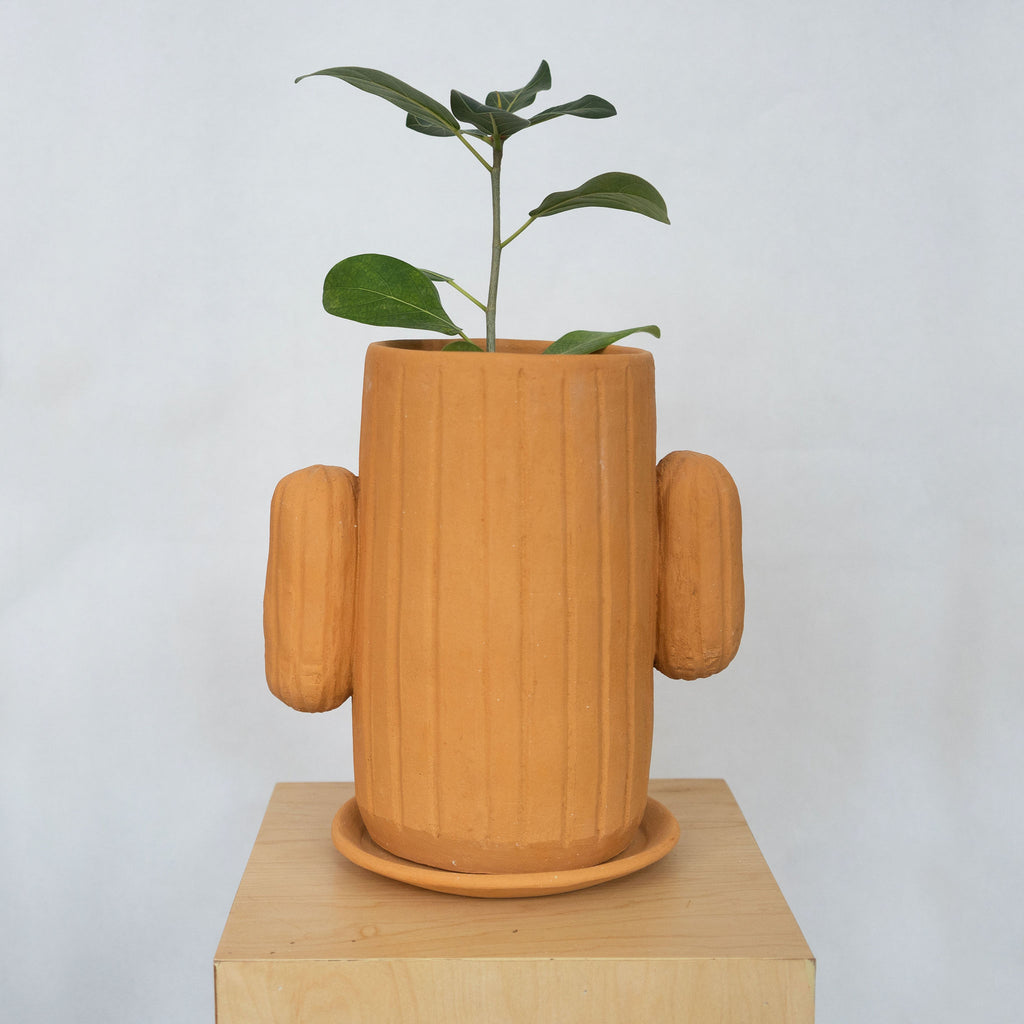 Ceramic Cactus Plant Pot with tray sits on a wood platform in front of a white background. Filled with a plant.