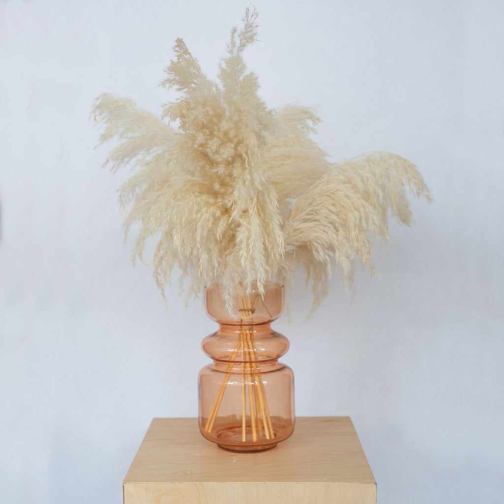 Handblown coral colored glass vase with 3 curvy sections. Holding cream feathers.