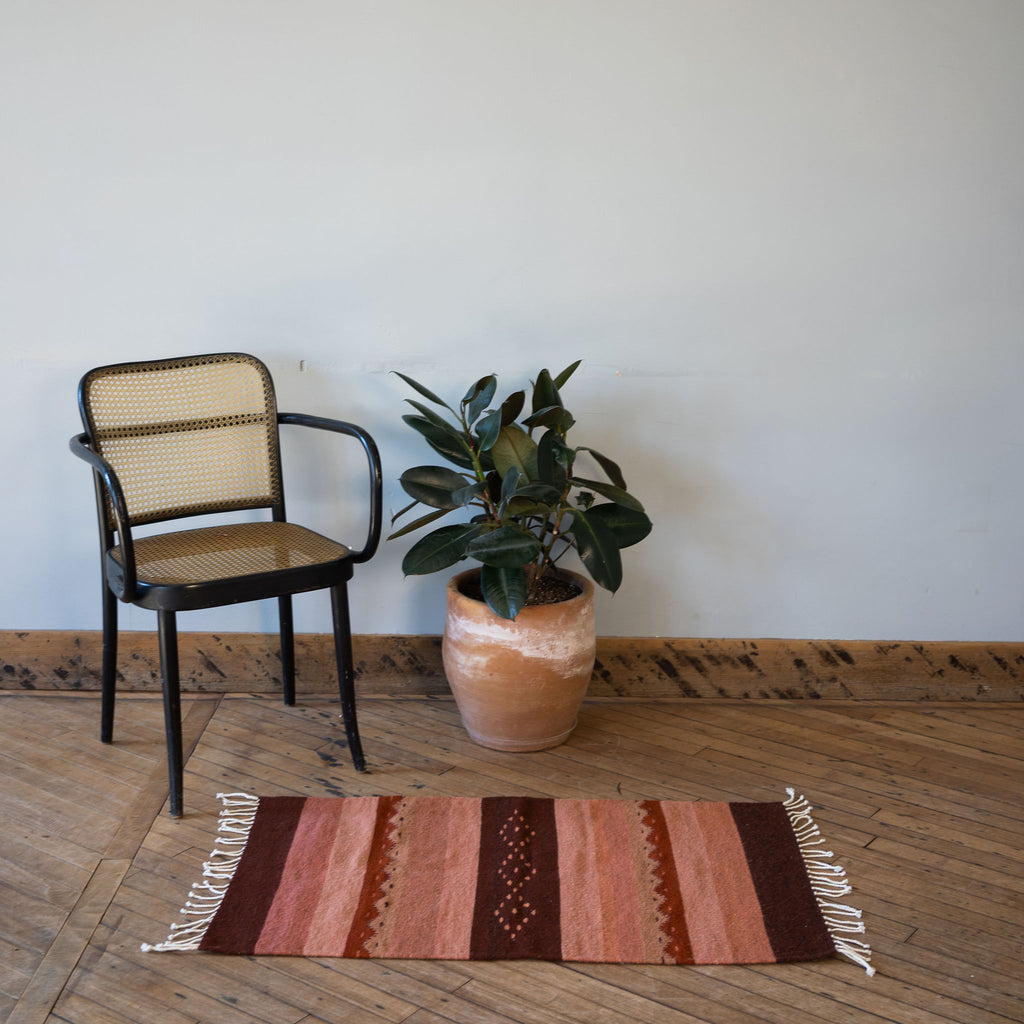 A flat woven wool Oaxacan rug with traditional Oaxacan designed stripes surrounded by one rattan chair and a potted plant. All in front of a gray wall. Wood floors.