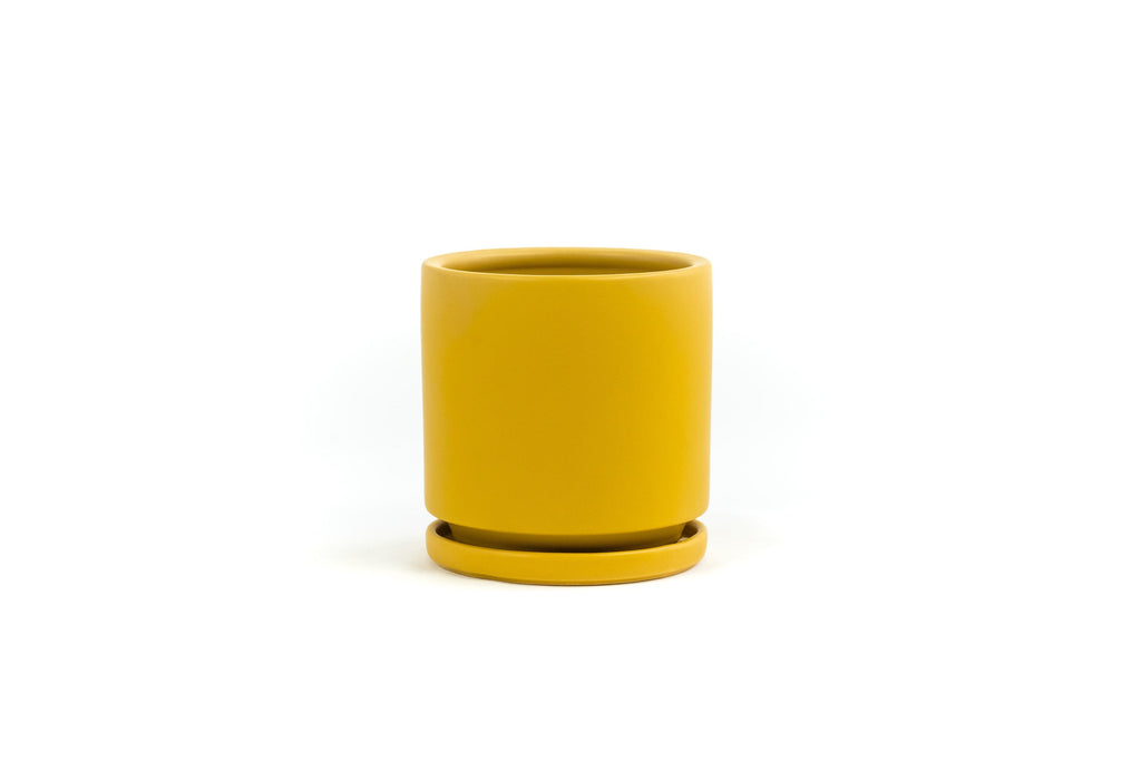 8.5" Porcelain Plant Pot and Tray in Mustard Yellow