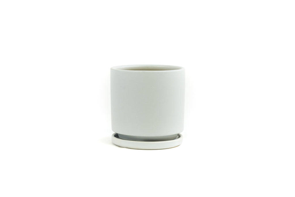 4.5" Porcelain Plant Pot and Tray in White